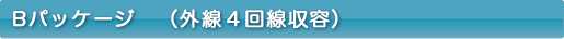 Bパッケージ（外線４回線収容）